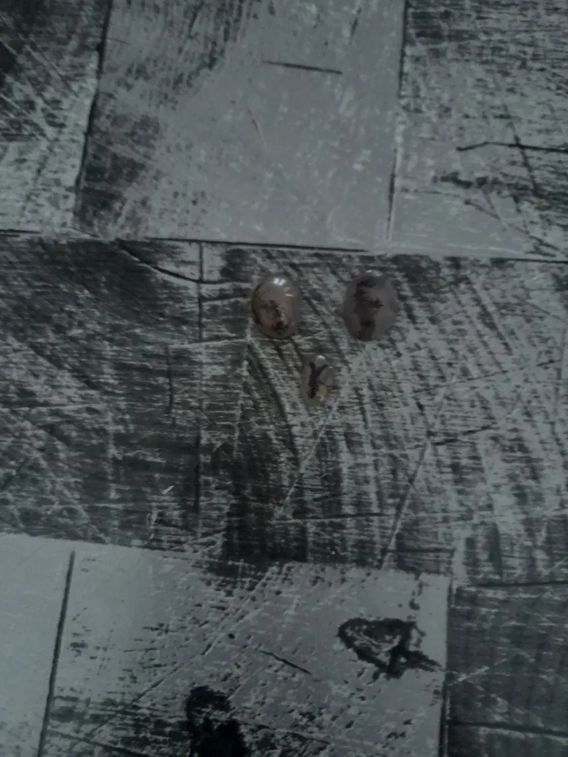 نگین|جواهرات|زرند, |دیوار