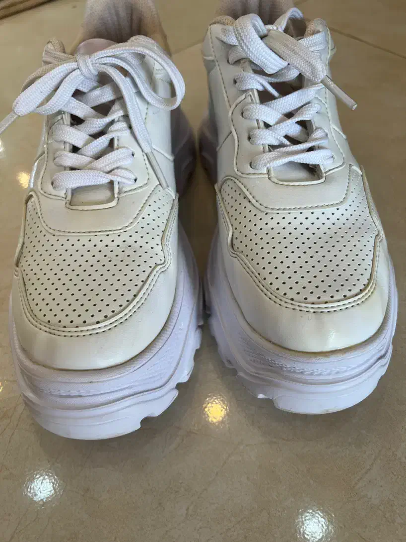 کفش LC WAIKIKI|کیف، کفش، کمربند|گنبد کاووس, |دیوار