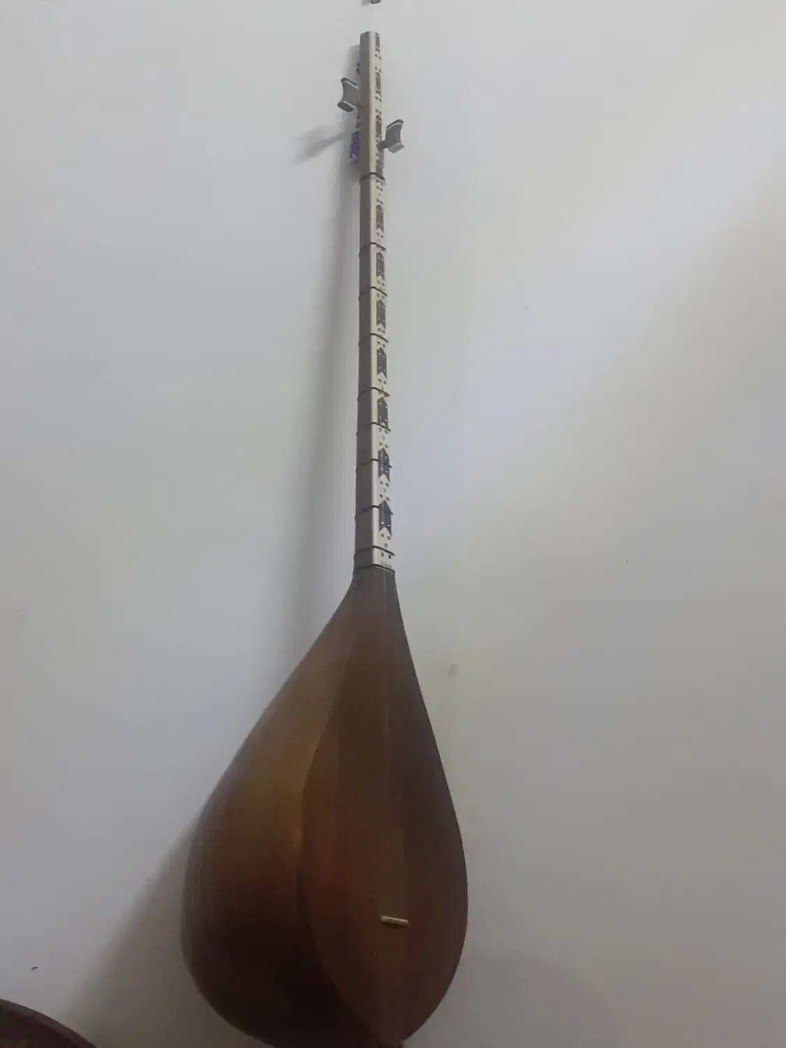 دوتار نوید مقدمی|سازهای سنتی|تربتحیدریه, کلاته توکلی|دیوار