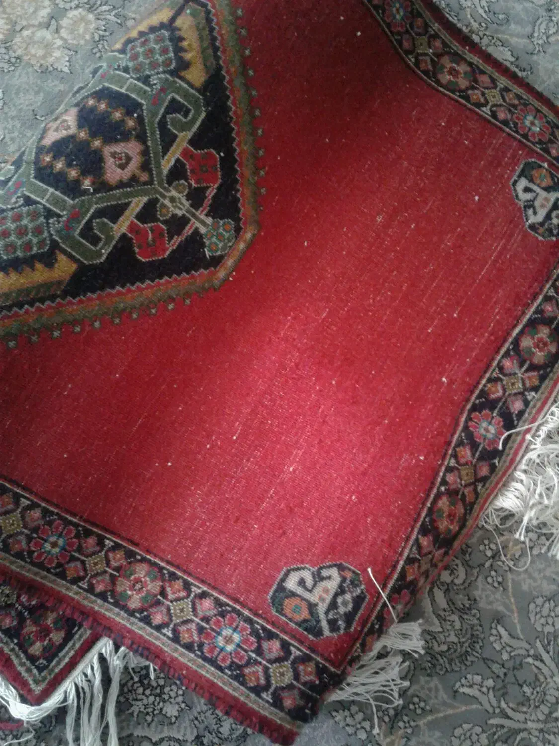 قالیچه دستباف|گلیم، جاجیم، گبه|شیراز, شهرک مطهری|دیوار
