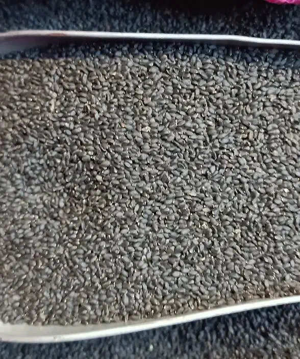 تخم شربتی اعلا|فعالیت داوطلبانه|فردیس, فردیس|دیوار