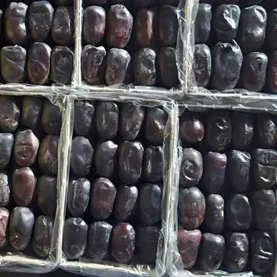 خرمای مضافتی بهترین کیفیت و کمترین قیمت|عمده‌فروشی|چابهار, |دیوار