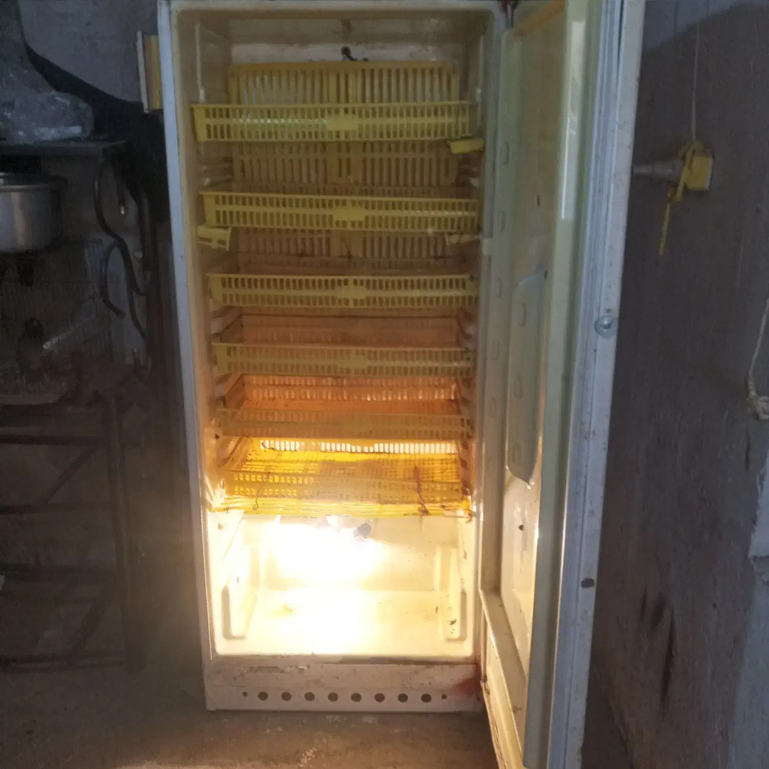 دستگاه جوجه کشی سالم|لوازم جانبی حیوانات|گنبد کاووس, |دیوار