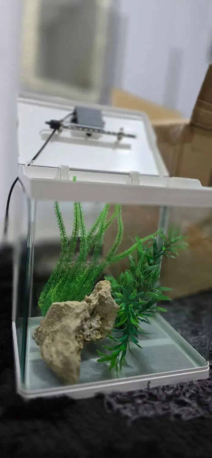 آکواریوم دلسا k320|ماهی|شیراز, مسکن مهر شیراز|دیوار