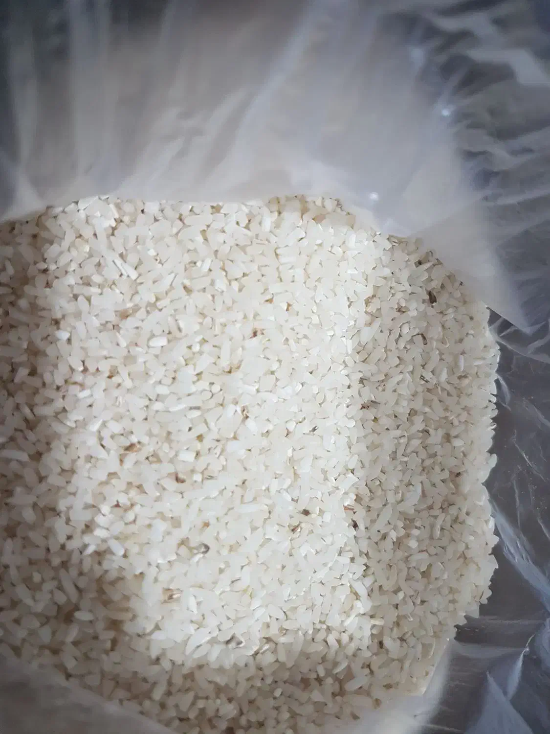 نیم دانه طارم هاشمی دابو|خوردنی و آشامیدنی|آمل, |دیوار