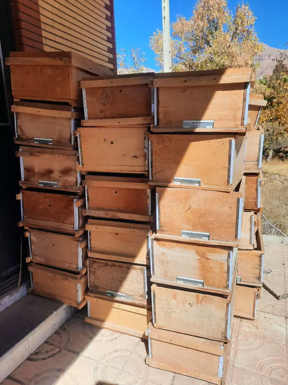 کندوی زنبور عسل|لوازم جانبی حیوانات|قزوین, |دیوار