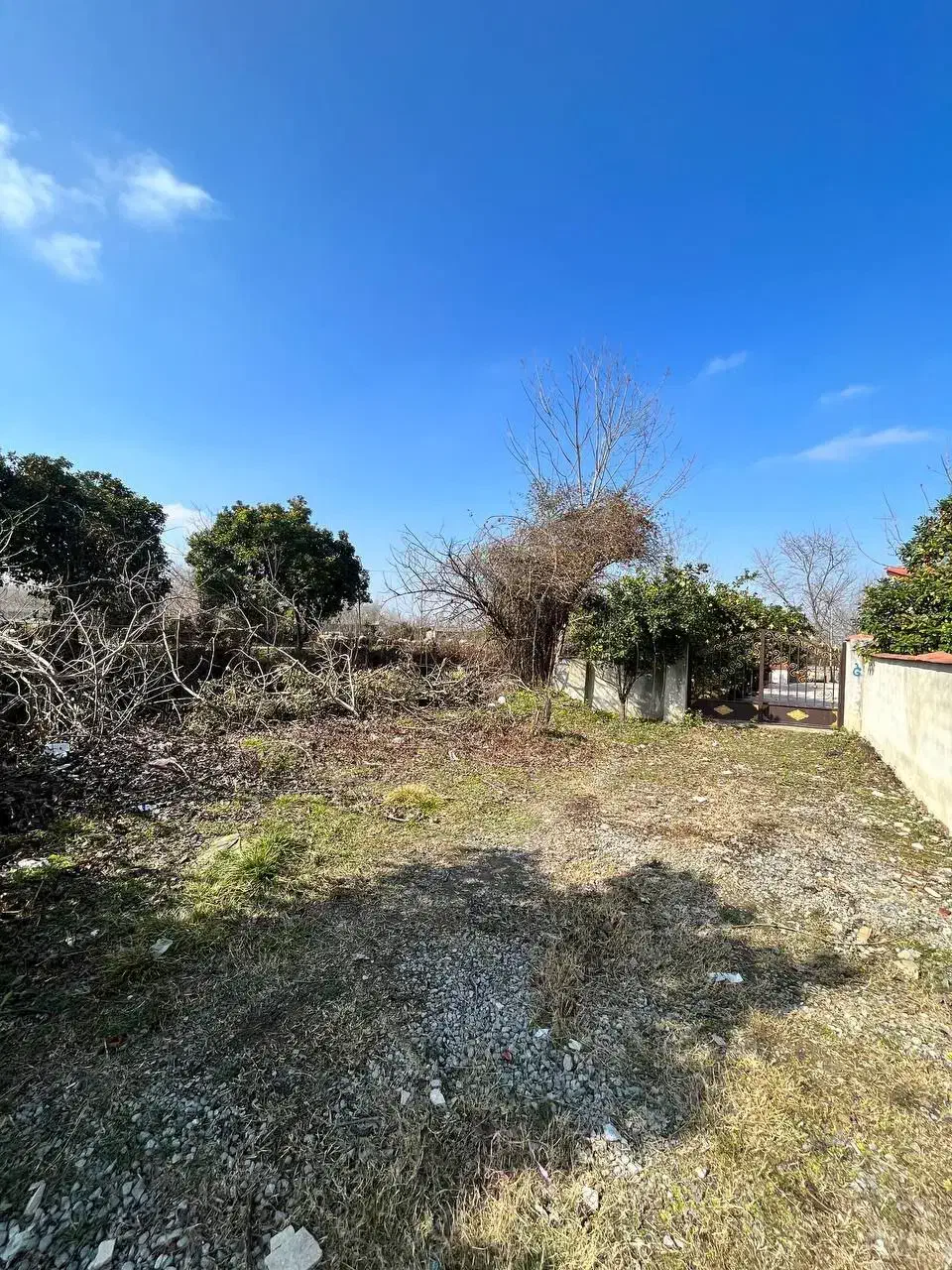 منطقه باغی / ویلا مستقل / 250 متری|فروش خانه و ویلا|چمستان, |دیوار