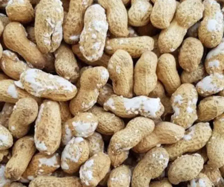 خلال بادام|عمده‌فروشی|آستانه اشرفیه, |دیوار