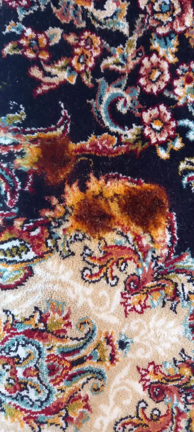 رفع سوختگی  و پارگی فرش|خدمات پیشه و مهارت|سبزوار, توحیدشهر|دیوار