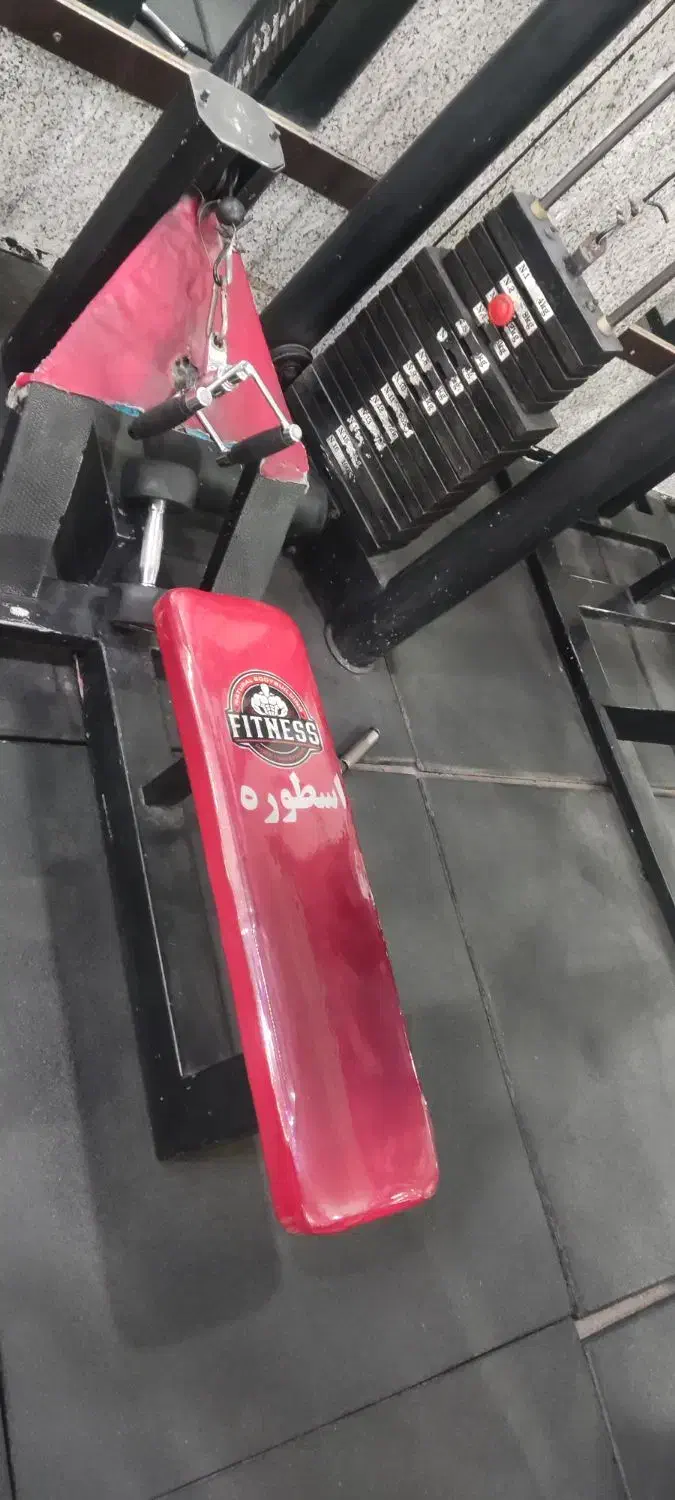 دستگاه قایقی|تجهیزات ورزشی|باوی, |دیوار