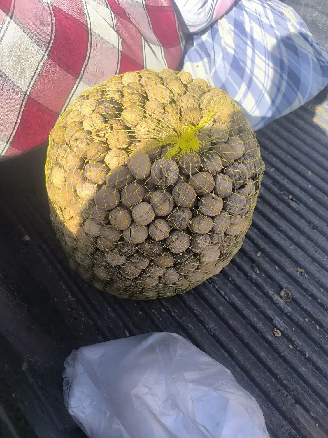 گردومحلی|خوردنی و آشامیدنی|کوهبنان, |دیوار