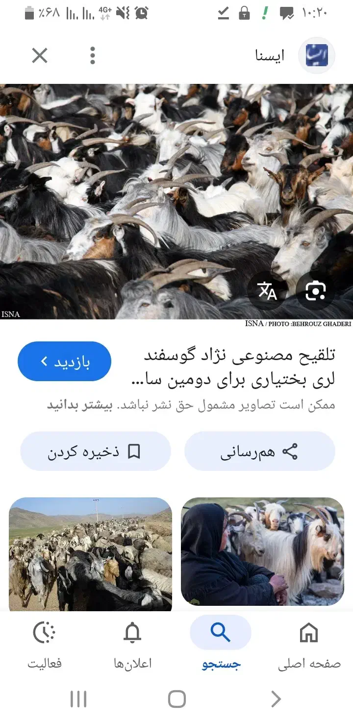 معاوضه 20 بزگلچین با بره ومیش|حیوانات مزرعه|لالی, |دیوار