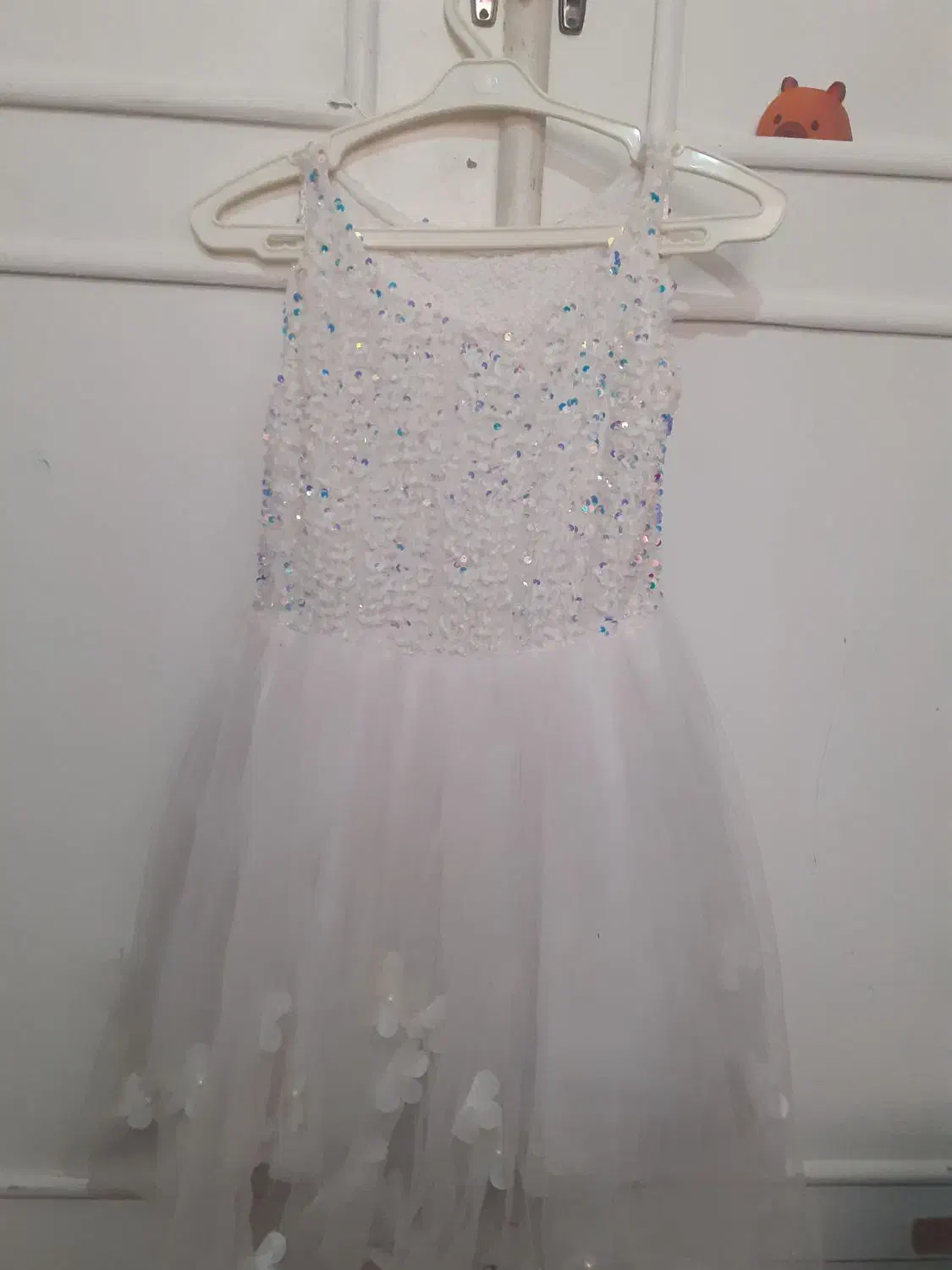 لباس مجلسی دخترانه|لباس|مشهد, تربیت (صدف)|دیوار