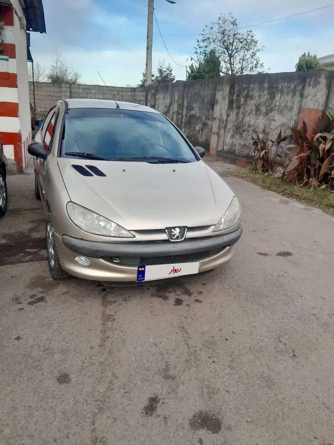 206مدل 85|خودرو سواری و وانت|لشت نشا, |دیوار