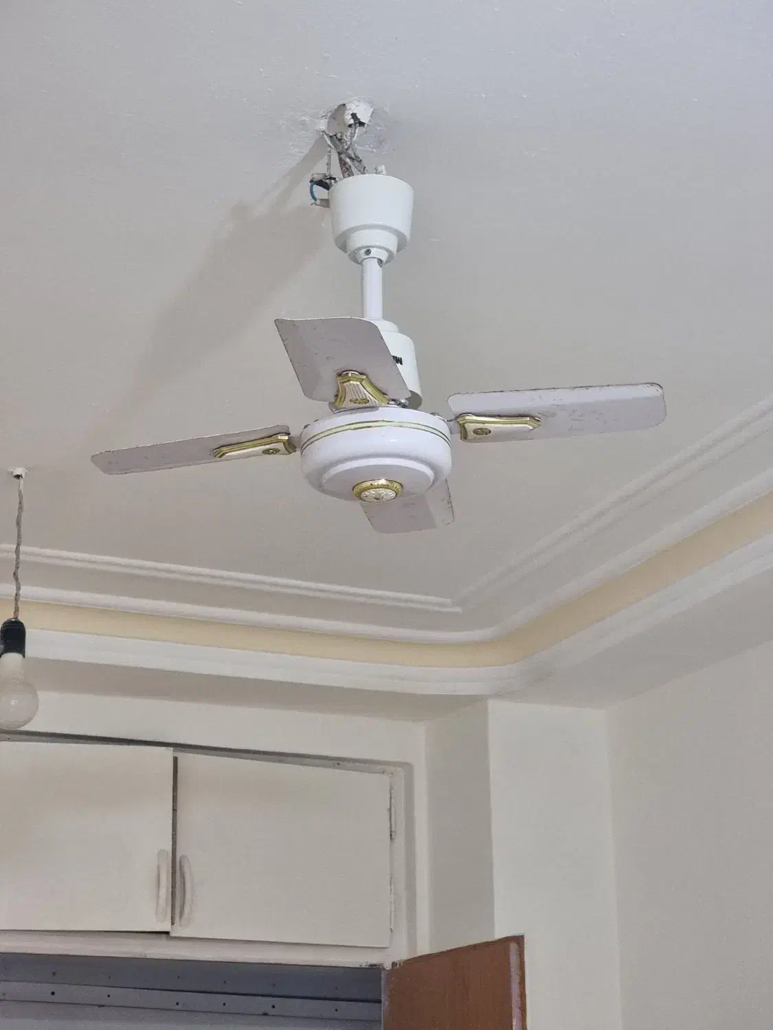 دو عدد پنکه|پنکه و تصفیهکنندهٔ هوا|بندرعباس, |دیوار