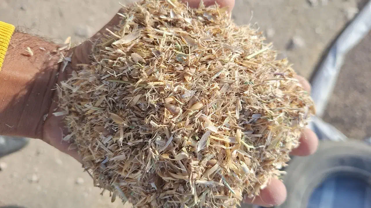 کاه نخود|عمده‌فروشی|سجاس رود, |دیوار