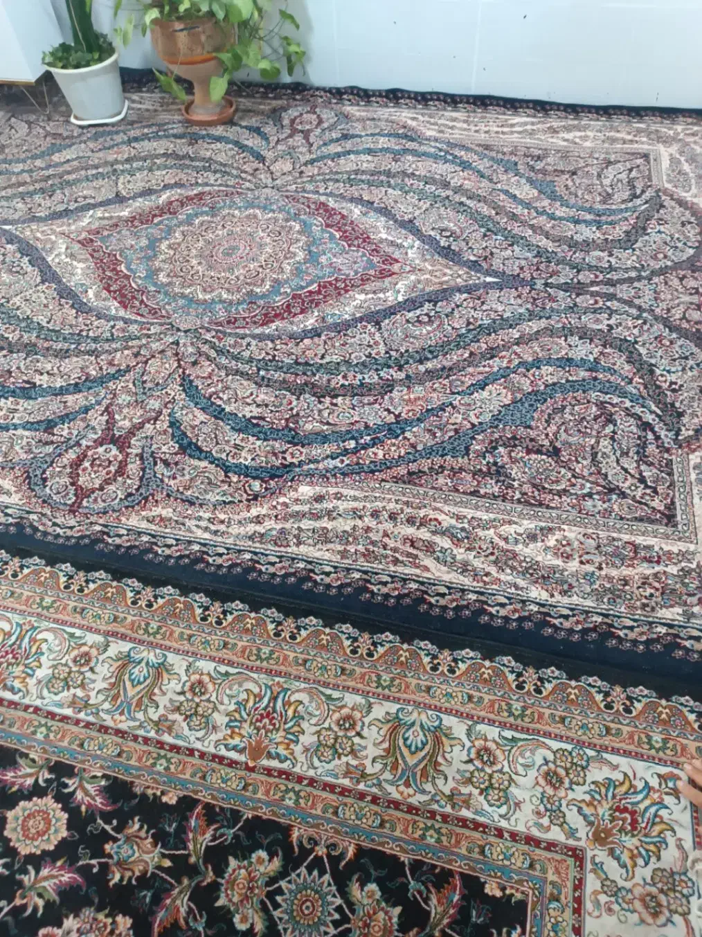 فرش|فرش|نیشابور, باغ نو|دیوار