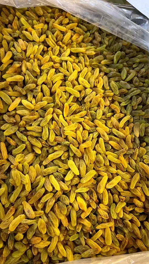 کشمش|خوردنی و آشامیدنی|یزد, |دیوار