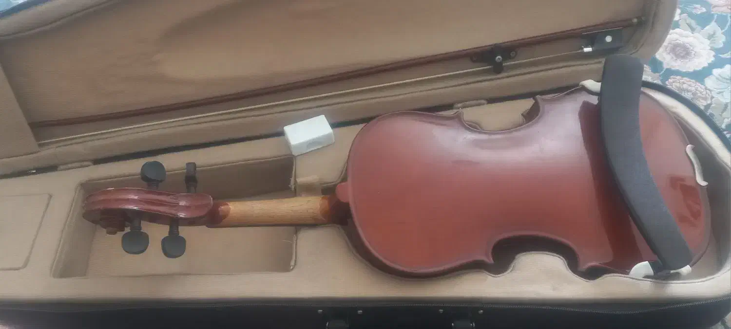 ویولون هافنر|ویولن|کاشمر, |دیوار