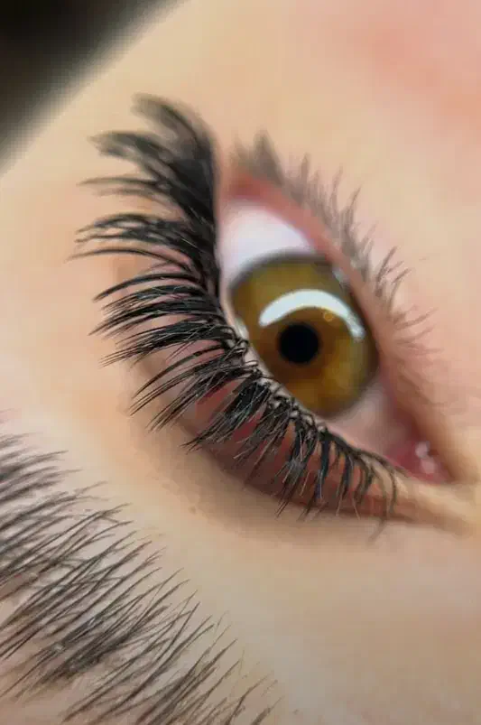 اکستنشن مژه لیفت و لمینت مژه و ابرو|خدمات آرایشگری و زیبایی|فولادشهر, B7|دیوار