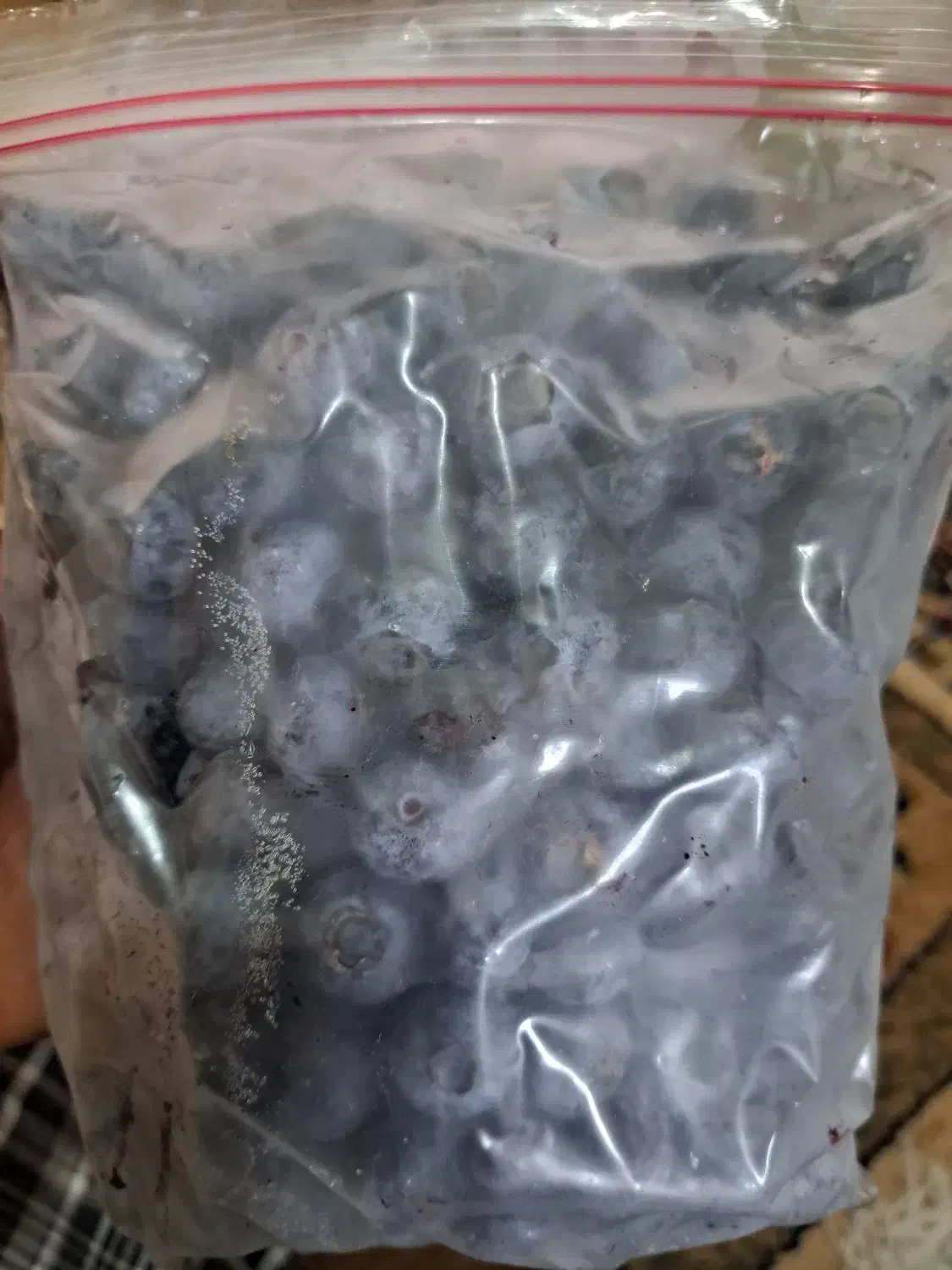 میوه بلوبری فریز شده|خوردنی و آشامیدنی|رشت, نخودچر|دیوار