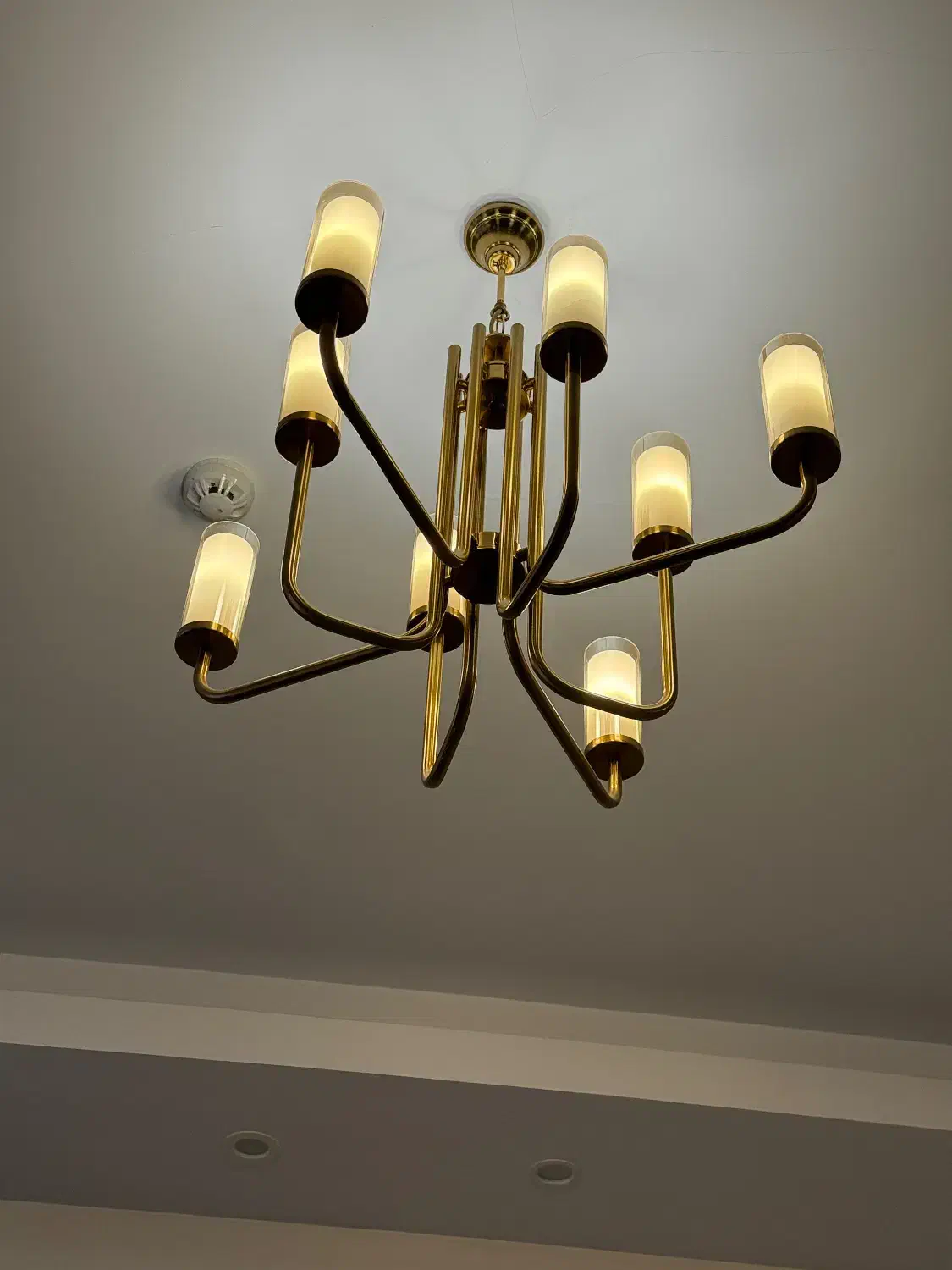 ۲عدد لوستر ۱۰شاخه و ۸ شاخه|لوستر و چراغ آویز|تهران, حکیمیه|دیوار