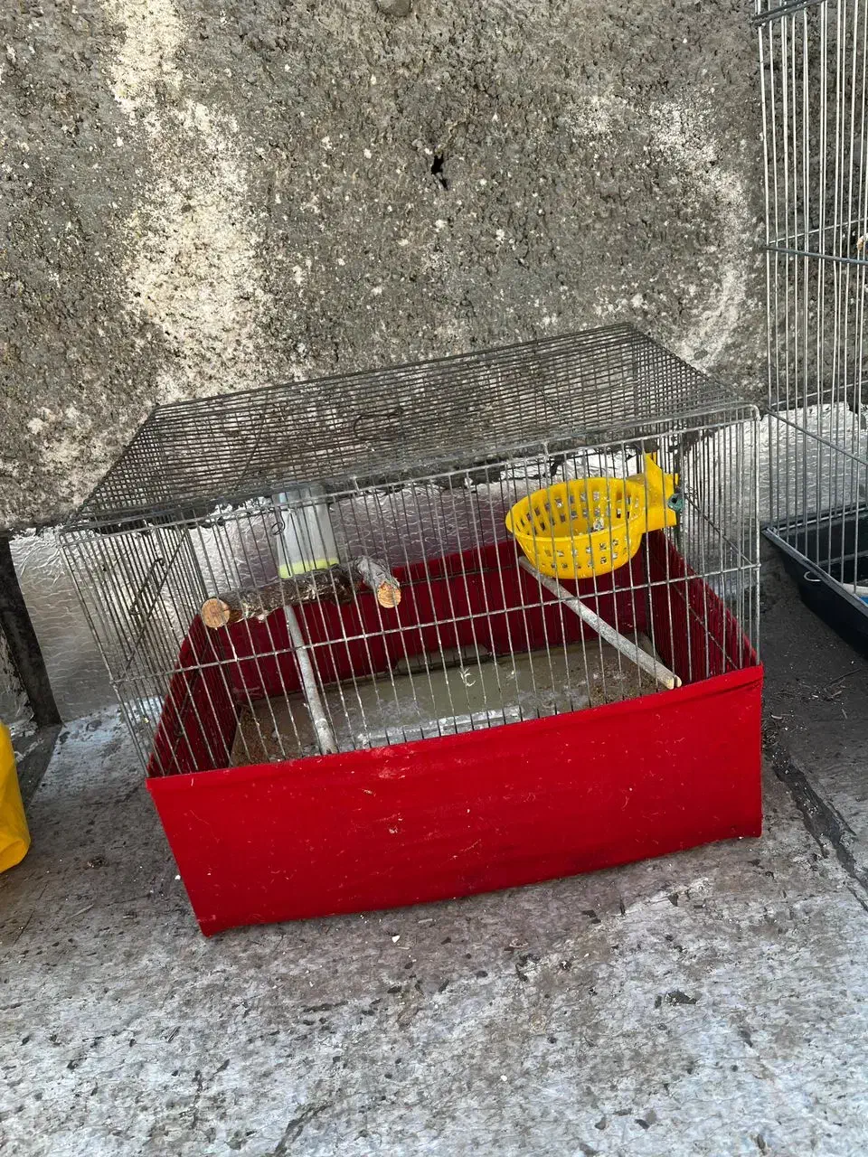 قفس|لوازم جانبی حیوانات|مشکین‌دشت, |دیوار