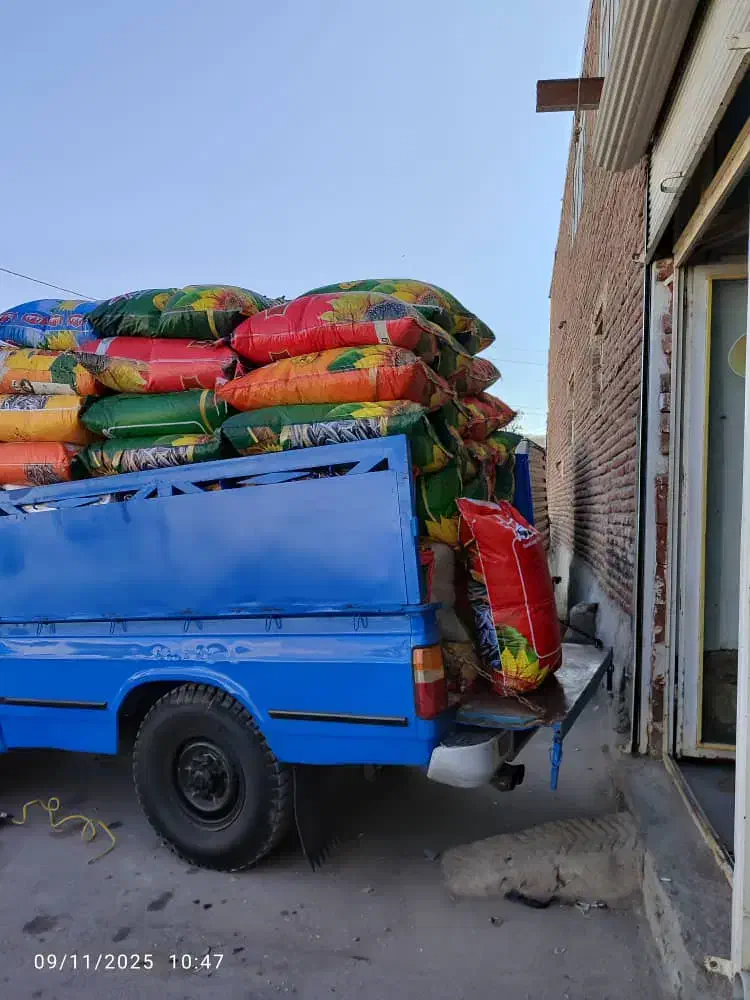 تخمه اس ۴۰۰|خوردنی و آشامیدنی|مراغه, |دیوار