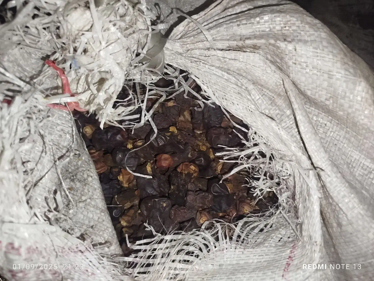 خرید ضایعات خرما.لر پون بالاترین قیمت|خدمات پیشه و مهارت|سراوان, |دیوار