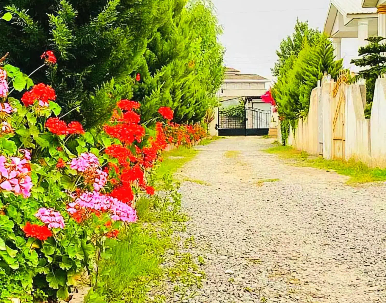 شهرک دنج و امنیت بالا٪سندجواز روی ملک اگهی قیمت کل|فروش زمین و ملک کلنگی|شیرگاه, |دیوار
