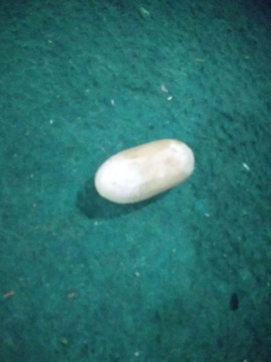 مهره|کلکسیون اشیاء عتیقه|میناب, |دیوار