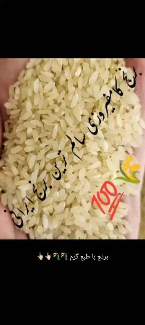 برنج کامفیروزی|خوردنی و آشامیدنی|آباده, |دیوار