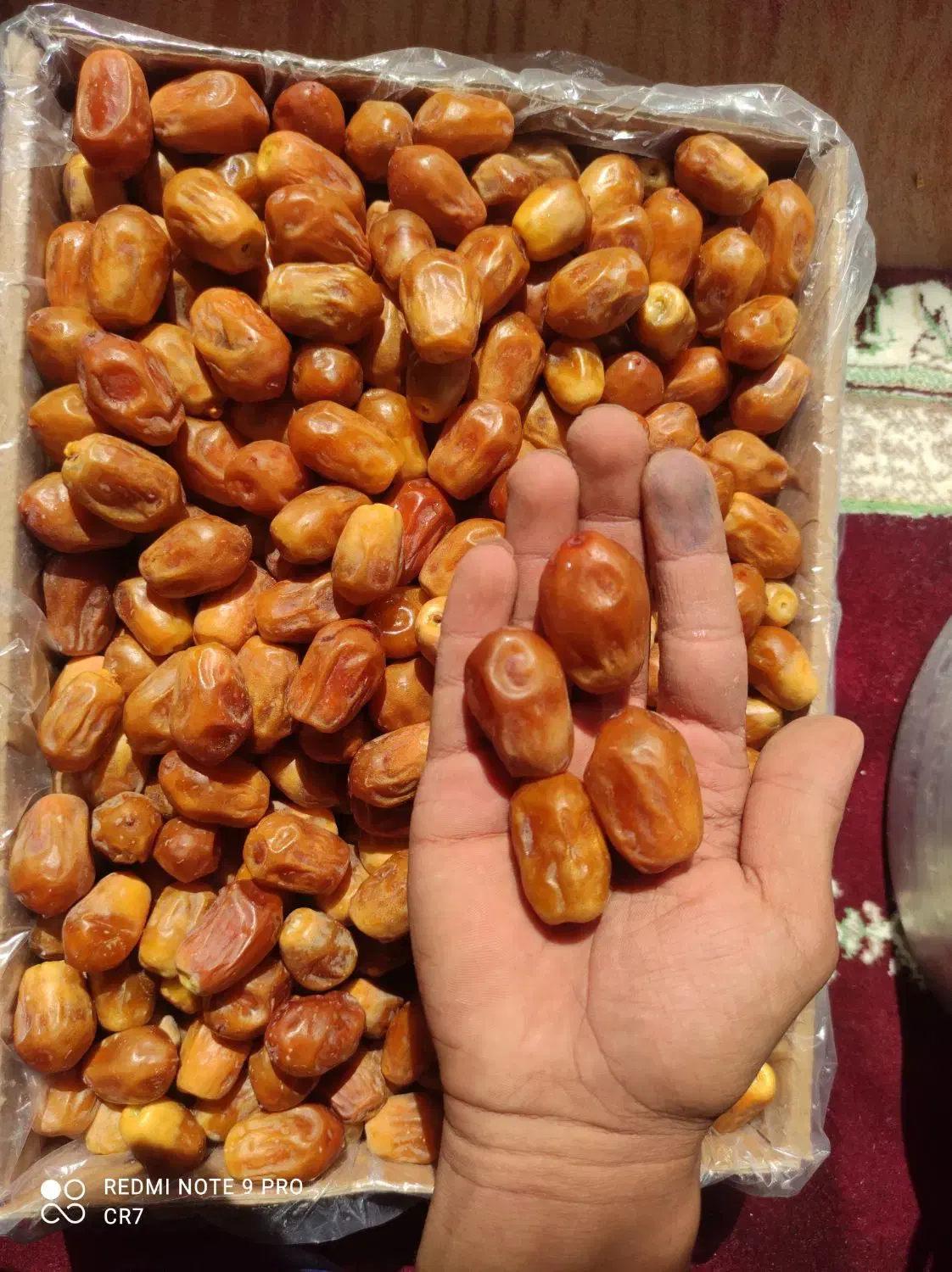رطب خرما زاهدی پیارم خاصویی درجه یک عمده و خرده|خوردنی و آشامیدنی|شیراز, فخرآباد (دروازه کازرون)|دیوار