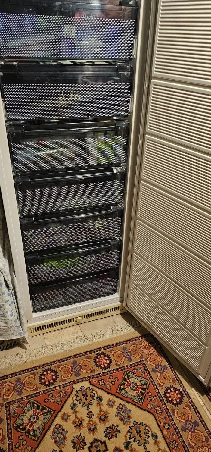 فریزر اکسپیر ایتالیایی|یخچال و فریزر|اصفهان, باغ زرشک|دیوار