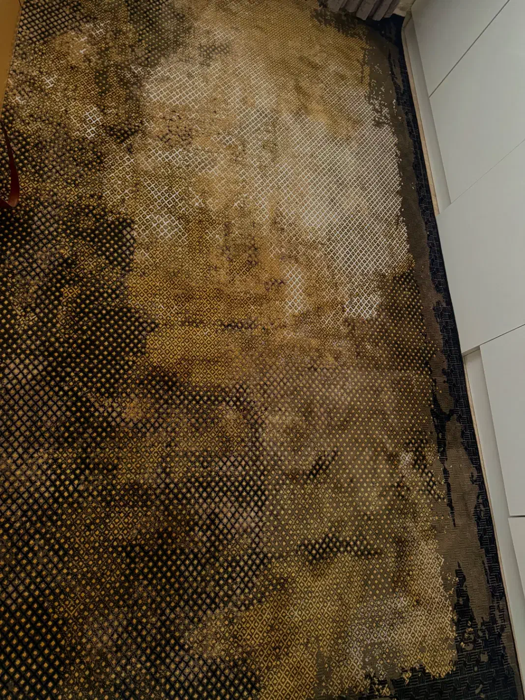 فرش ۶ متری|فرش|کرج, عظیمیه|دیوار