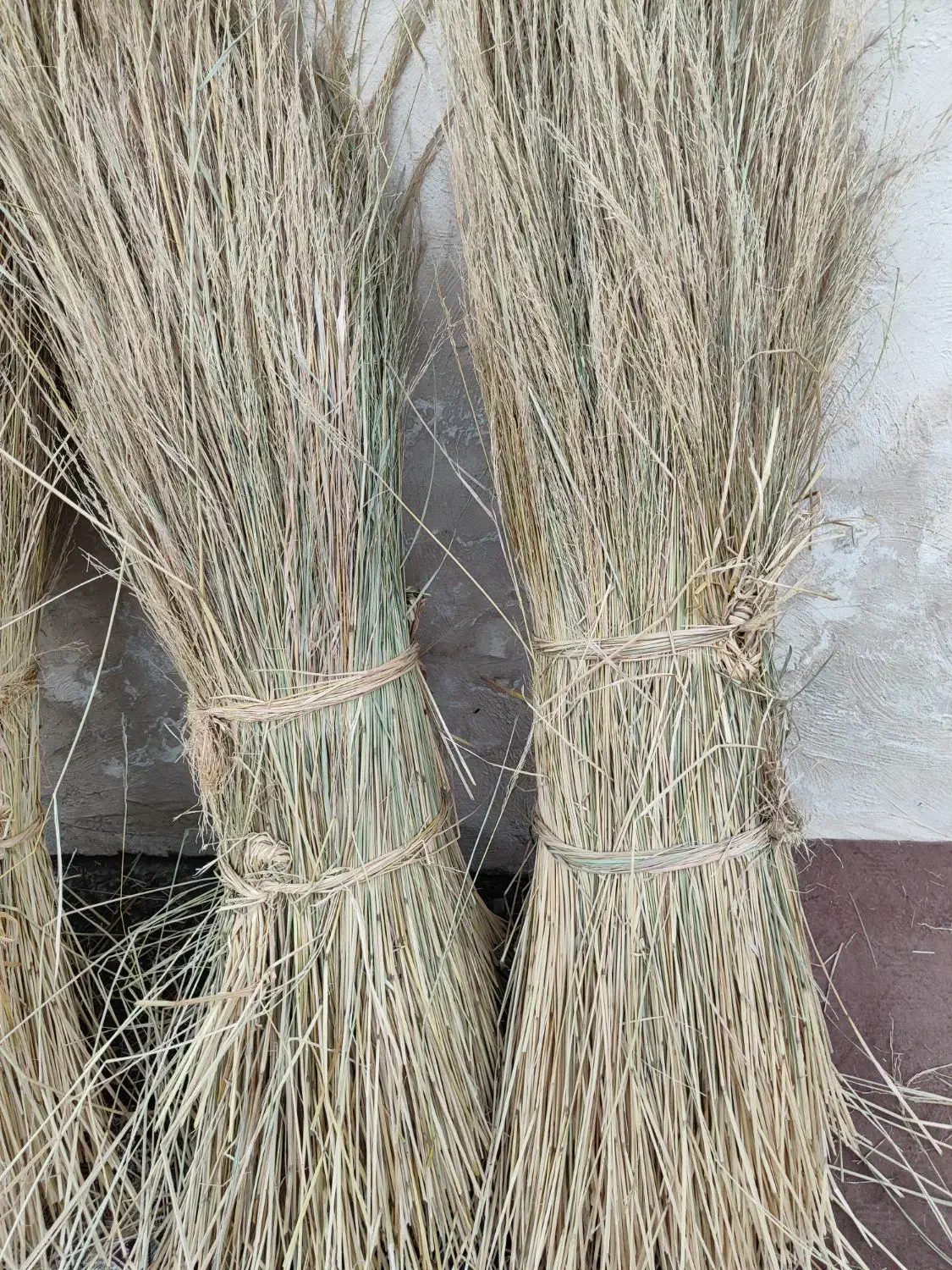 کلوش یا کولوش|عمدهفروشی|سنگر, |دیوار