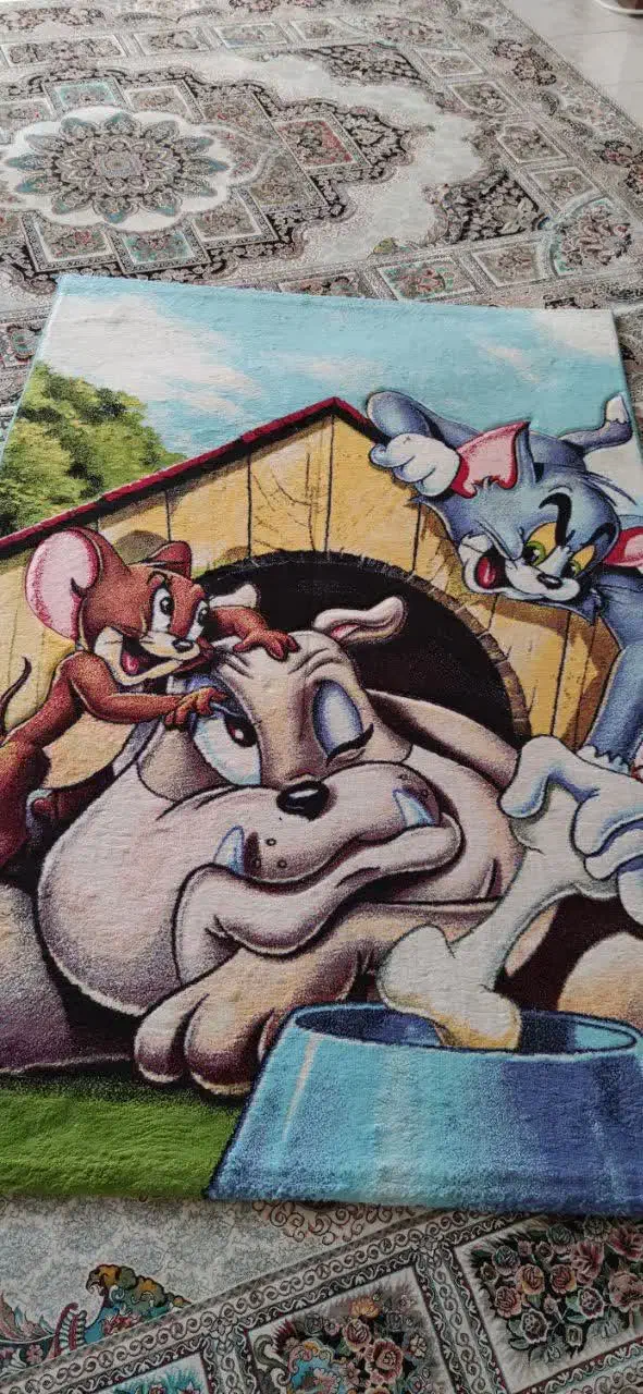 فرش کودک|فرش|مشکیندشت, |دیوار