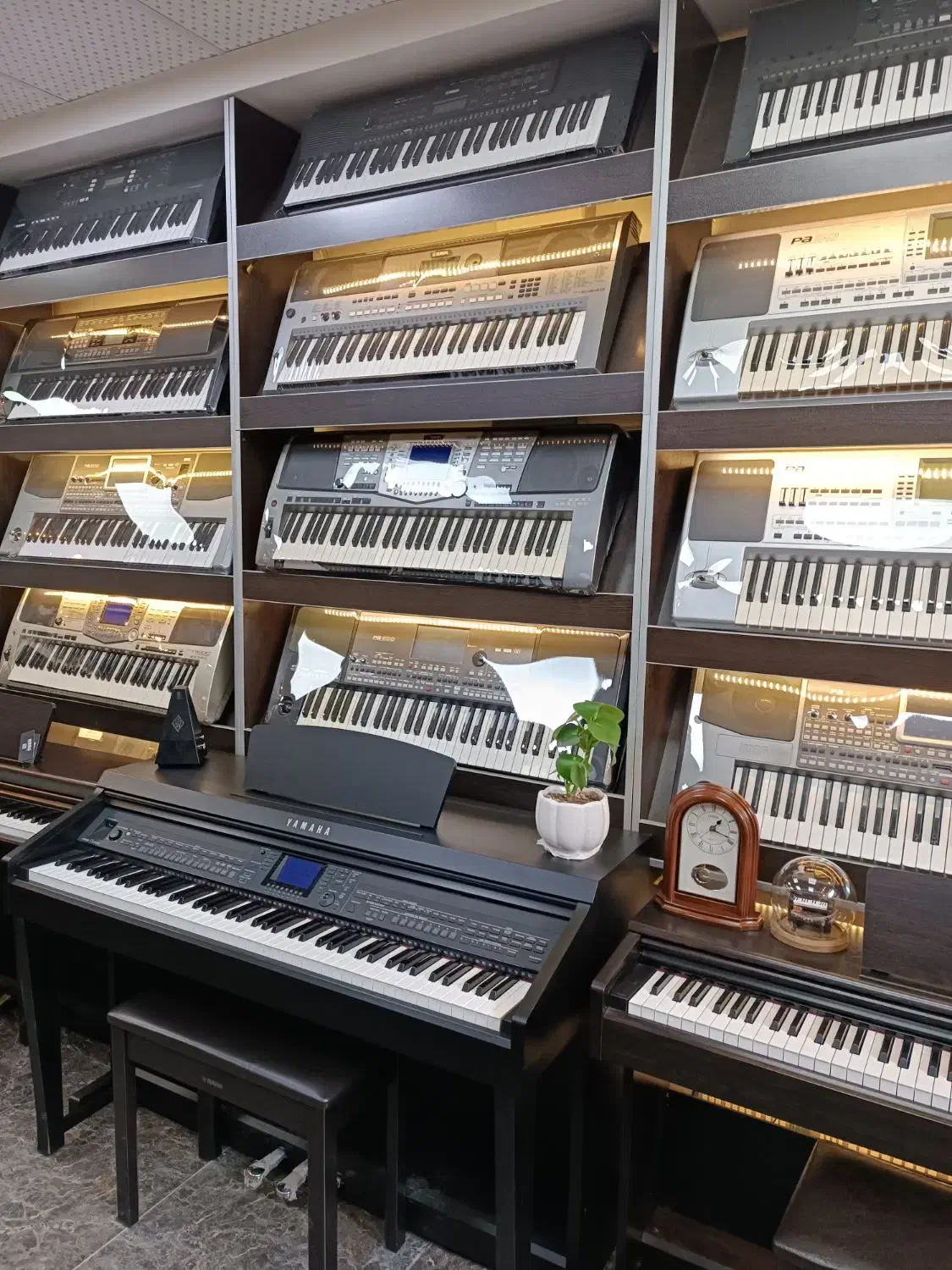 فروش انواع کیبورد|پیانو، کیبورد، آکاردئون|یزد, |دیوار