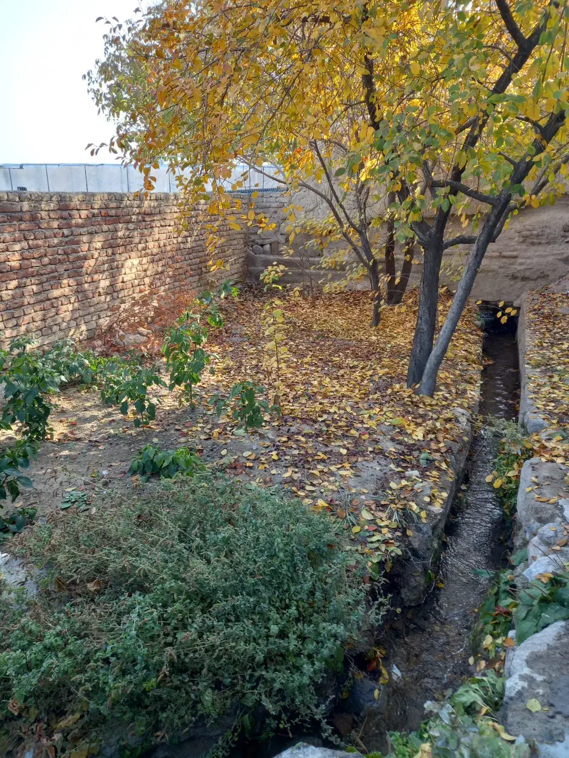 خانه حیاط دار فروشی|فروش خانه و ویلا|اسکو, |دیوار