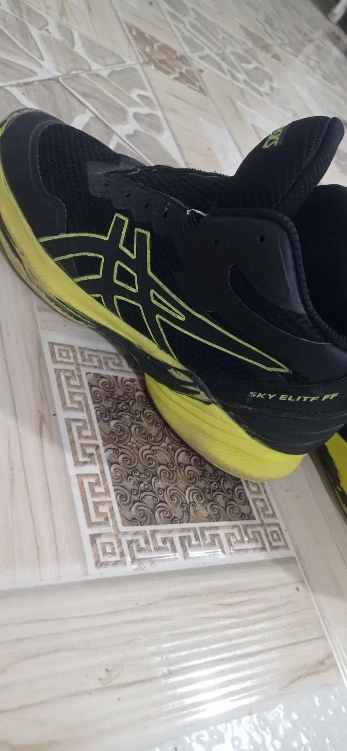 کفش|کیف، کفش، کمربند|هرمز, |دیوار