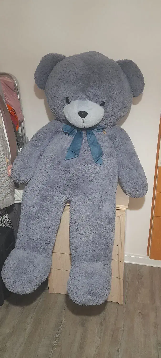 عروسک خرسی|اسباببازی|رشت, نیکمرام|دیوار