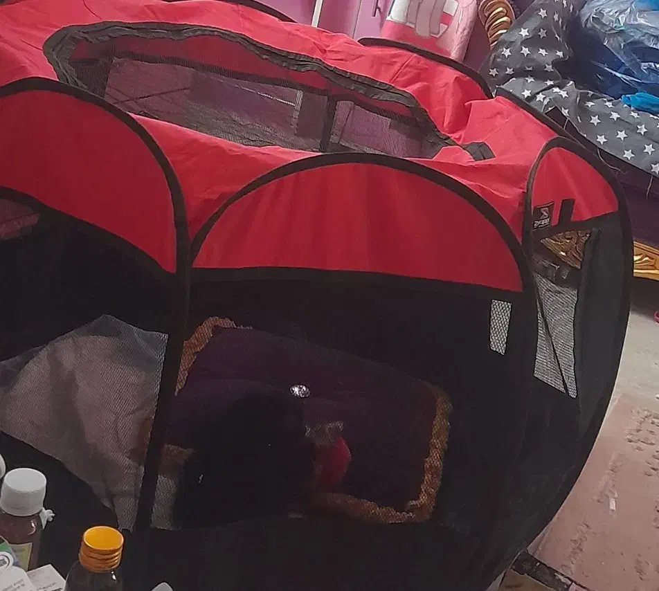 پارک سگ فنس سگ باکس لباس سگ|لوازم جانبی حیوانات|تهران, جیحون|دیوار