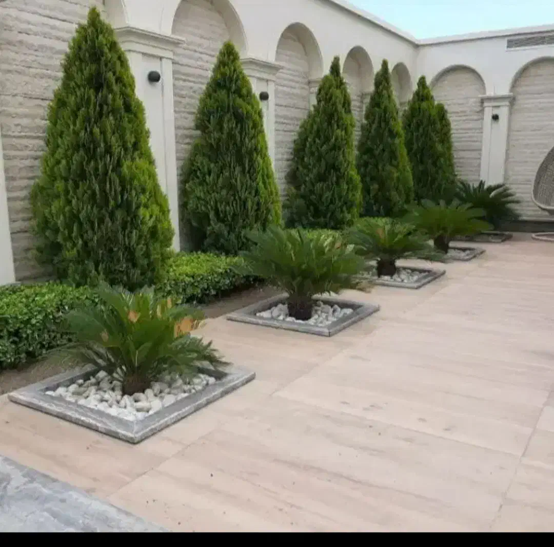 خدمات باغبانی در سراسر پردیس|خدمات باغبانی و درختکاری|پردیس, فاز ۲|دیوار