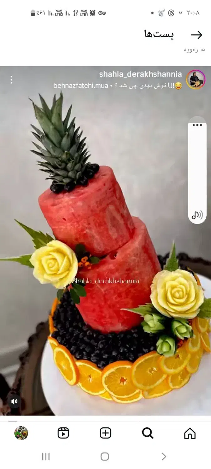 دیزاین ومیوه آرایی شب یلدا|خدمات پذیرایی، مراسم|ساری, |دیوار