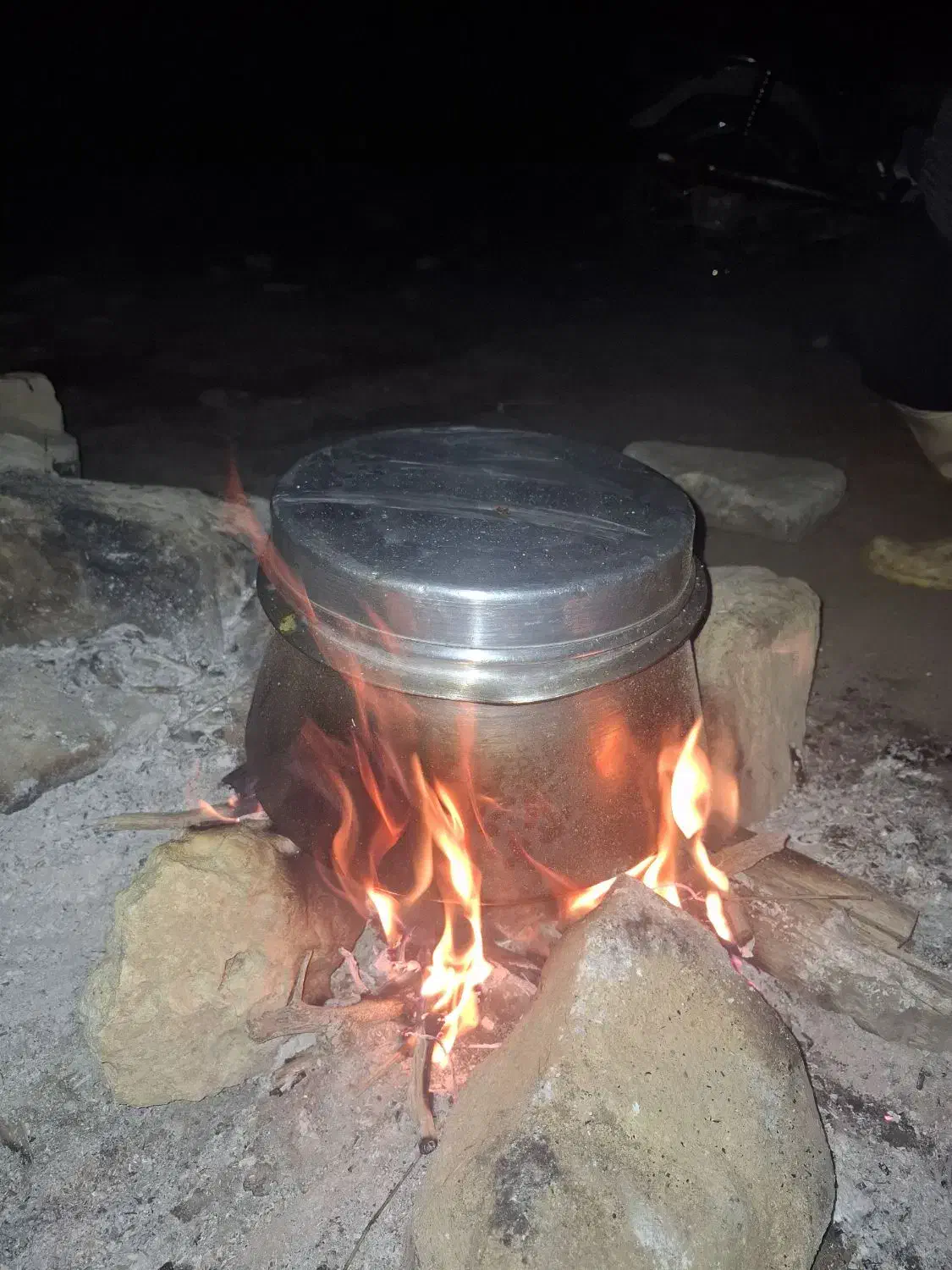 راهنمایی|فعالیت داوطلبانه تحقیقاتی|بوشهر, |دیوار