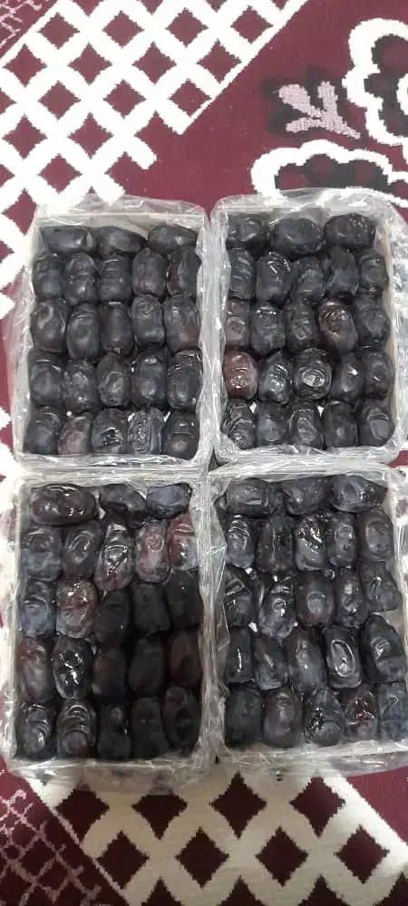 خرما|خوردنی و آشامیدنی|سراوان, |دیوار