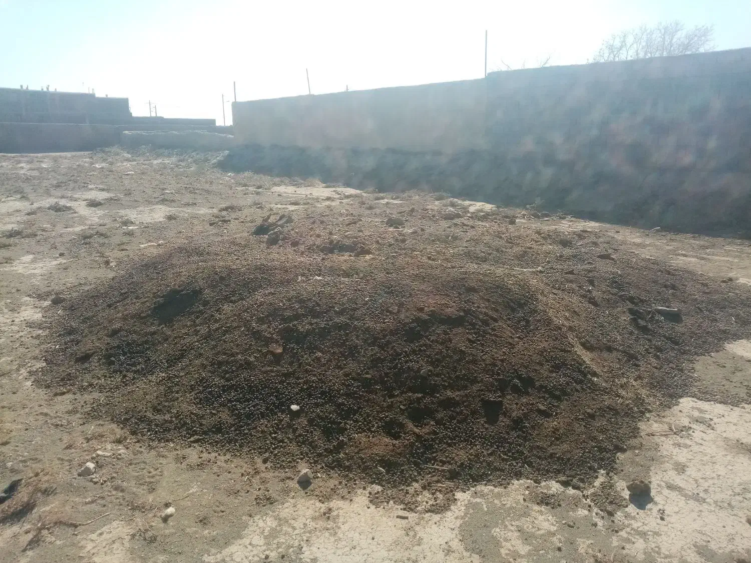 کود|لوازم جانبی حیوانات|داورزن, |دیوار