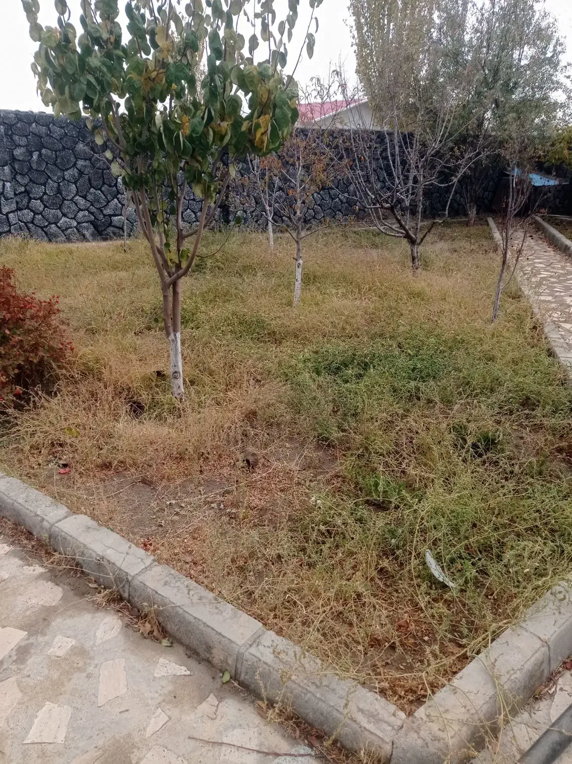 شخم زنی و خدمات باغی|خدمات باغبانی و درختکاری|صوفیان, |دیوار