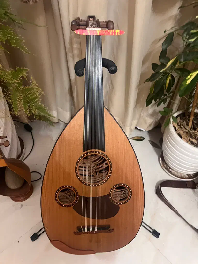 عود حرفه ای|سازهای سنتی|محمودآباد, |دیوار