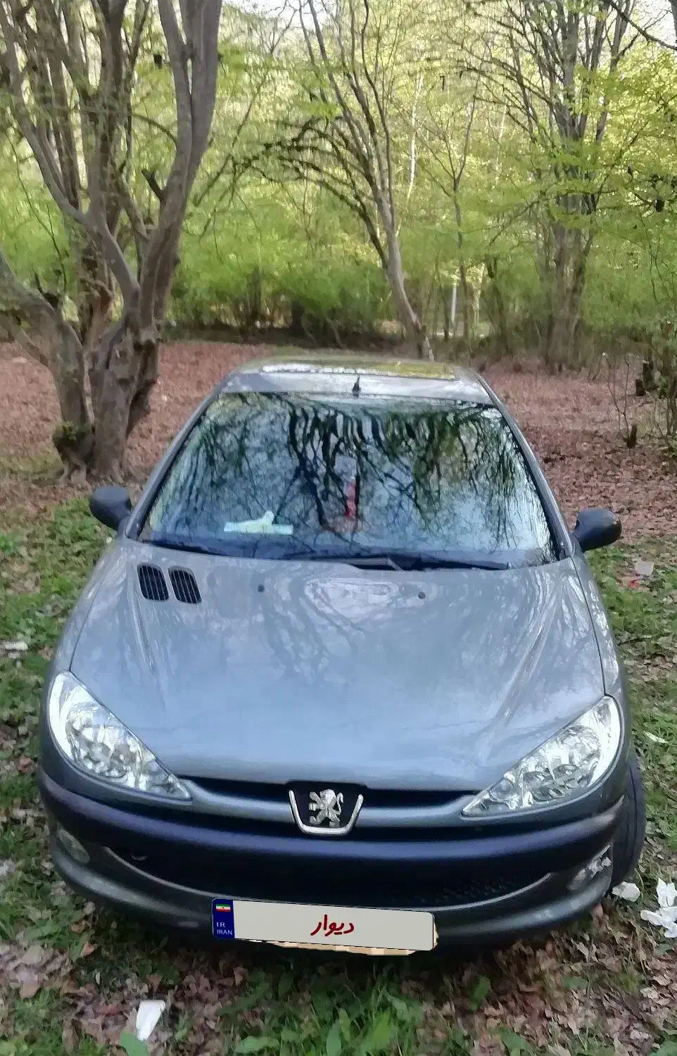 206تیپ2مدل 89سانروف دار|خودرو سواری و وانت|ری, جوانمرد قصاب|دیوار